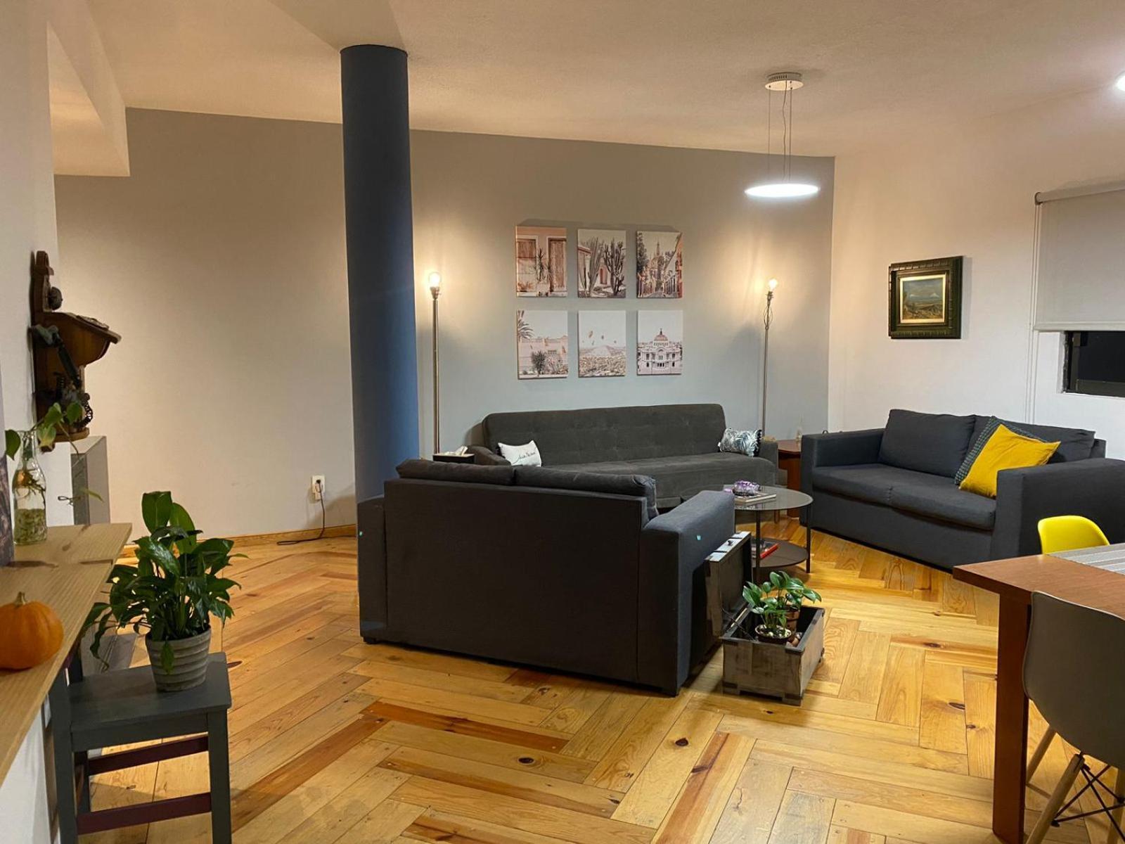 Corazon De Condesa Apartment Kota Meksiko Bagian luar foto